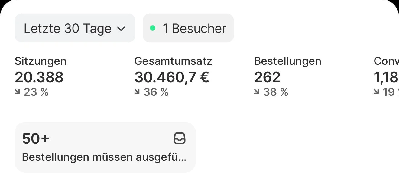 Norvex Sales Dashboard showing 4.2x ROI and daily profit